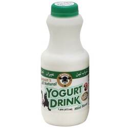 Karoun Yogurt Drink - 796252300264