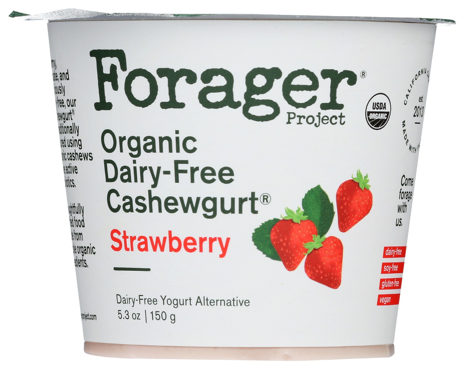 Strawberry Organic Dairy-Free Cashewgurt, Strawberry - 814558020324