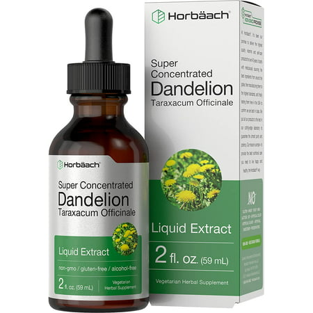 Dandelion Root Extract | 2 fl oz | Super Concentrated | Alcohol Free Liquid Tincture | Vegetarian Non-GMO Gluten Free | by Horbaach - 840050600146