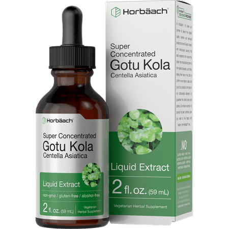 Gotu Kola Extract | 2 fl oz | Alcohol Free | Super Concentrated Liquid Herb Supplement | Vegetarian Non-GMO Gluten Free | by Horbaach - 840050600160
