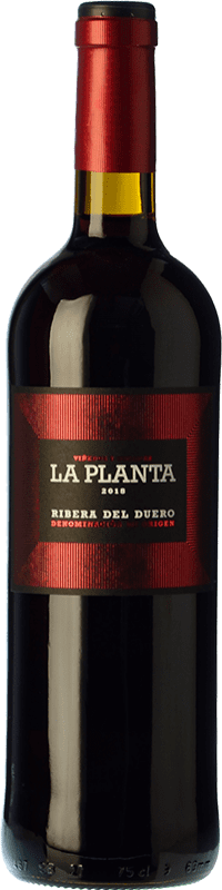 Vino Arzuaga Ribera del Duero - 8429077141010