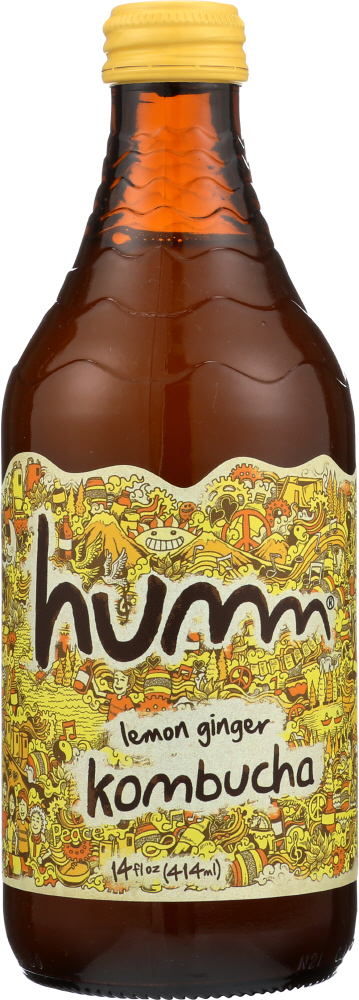HUMM: Kombucha Lemon Ginger, 14 fo - 0853736005371