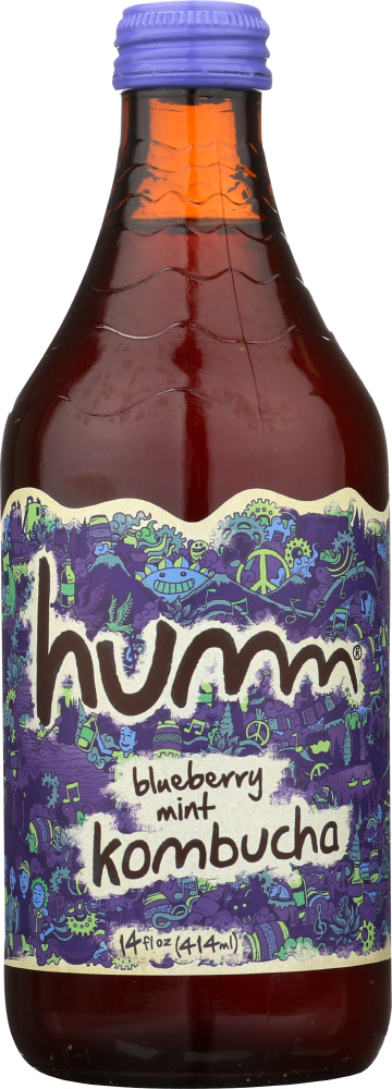 HUMM: Kombucha Blueberry Mint, 14 fo - 0853736005432