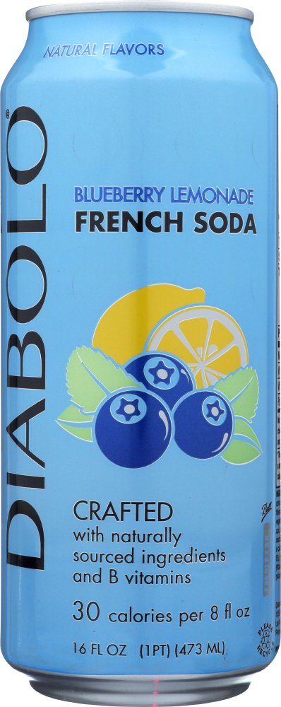 French Soda, Blueberry Lemonade - 855943002068