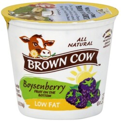 Brown Cow Yogurt - 88194210214