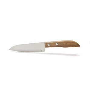 Fruit Knife - Kiwi - 8851130050364