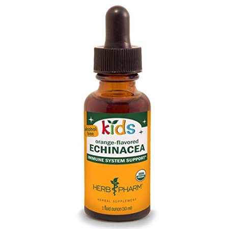 Herb Pharm Kids Certified-Organic Alcohol-Free Echinacea Glycerite Liquid Extract, 1 Ounce - 885260413278